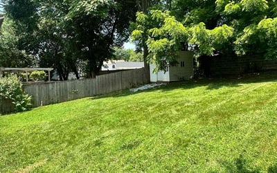 Photo of Sean I.'s yard after getting lawn care in Jamaica, NY
