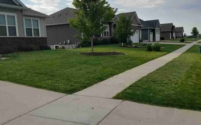 Photo of Tom H.'s yard after getting lawn care in Marion, IA
