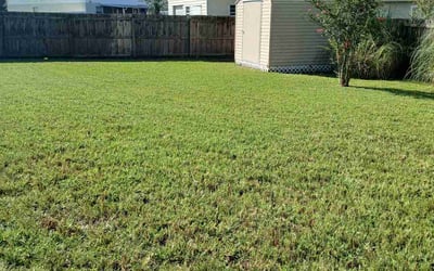 Photo of Will D.'s yard after getting lawn care in St Johns, FL