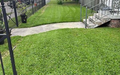 Photo of Colby P.'s yard after getting lawn care in West Monroe, LA