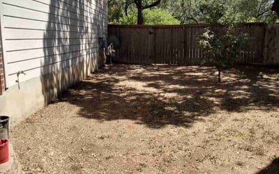 Photo of Doreen J.'s yard after getting lawn care in Tacoma, WA