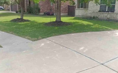 Photo of Madeline M.'s yard after getting lawn care in Parlin, NJ