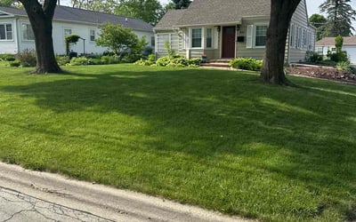 Photo of Dan T.'s yard after getting lawn care in Wheaton, IL