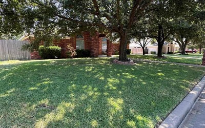 Photo of Kirsten W.'s yard after getting lawn care in Waco, TX