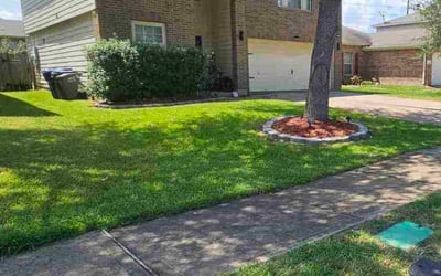 Photo of Gwenn H.'s yard after getting lawn care in Sherwood, AR