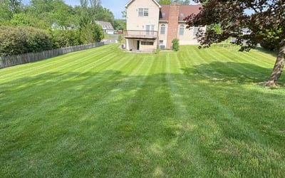Photo of William D.'s yard after getting lawn care in Elkridge, MD