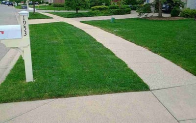 Photo of Jennifer B.'s yard after getting lawn care in Manchester Township, NJ