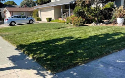Photo of Jeremy C.'s yard after getting lawn care in San Jose, CA