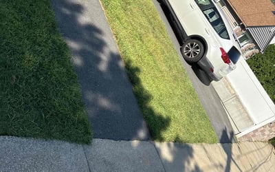 Photo of Christopher T.'s yard after getting lawn care in Providence, RI
