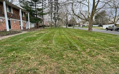 Photo of Jennifer A.'s yard after getting lawn care in East Northport, NY