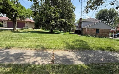 Photo of Ruby L.'s yard after getting lawn care in Erlanger, KY