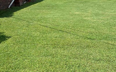 Photo of John R.'s yard after getting lawn care in Bethany, OK