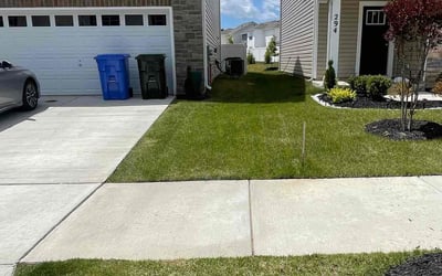 Photo of Marianne W.'s yard after getting lawn care in La Plata, MD