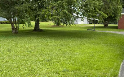 Photo of Sarah B.'s yard after getting lawn care in Beaumont, TX