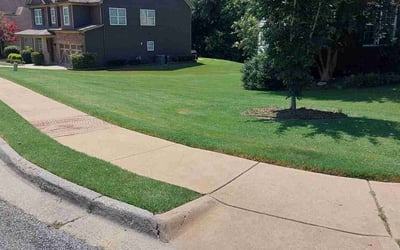 Photo of Tee L.'s yard after getting lawn care in Dacula, GA