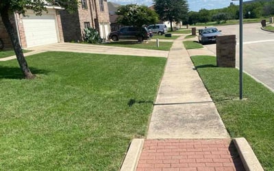 Photo of Lisa B.'s yard after getting lawn care in Rahway, NJ