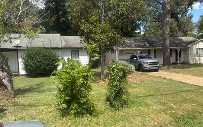 Photo of Lynnette C.'s yard after getting lawn care in Dover, DE