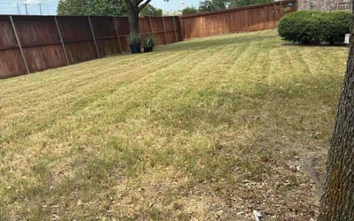 Photo of John M.'s yard after getting lawn care in Johnston, IA