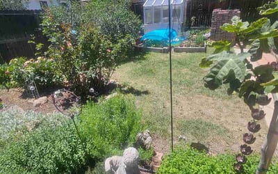 Photo of Mike S.'s yard after getting lawn care in Carmel, NY