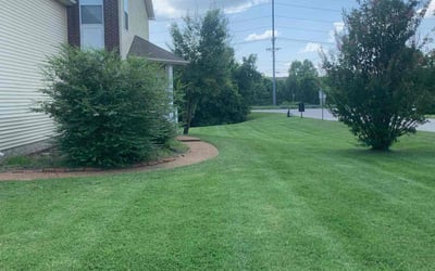 Photo of Shraddha G.'s yard after getting lawn care in Pleasant View, TN