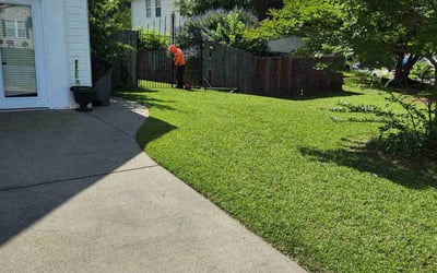 Photo of Keri T.'s yard after getting lawn care in Canton, MA