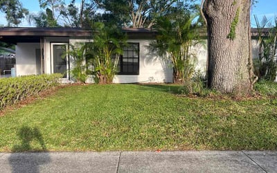 Photo of Jaime G.'s yard after getting lawn care in Lake Jackson, TX