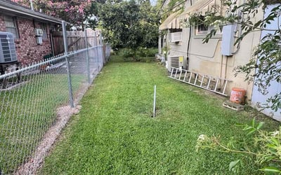 Photo of Angie F.'s yard after getting lawn care in Asheboro, NC