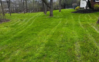 Photo of Jackie M.'s yard after getting lawn care in Grand Island, NY