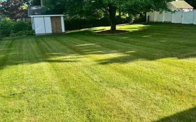Photo of Carol G.'s yard after getting lawn care in Natick, MA