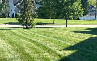 Photo of Anna H.'s yard after getting lawn care in North Royalton, OH