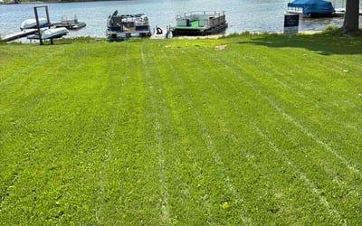 Photo of Craig R.'s yard after getting lawn care in Walled Lake, MI