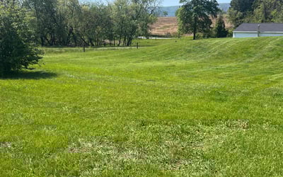 Photo of John D.'s yard after getting lawn care in Hopatcong, NJ