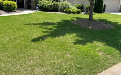 Photo of Lukas W.'s yard after getting lawn care in Port Charlotte, FL