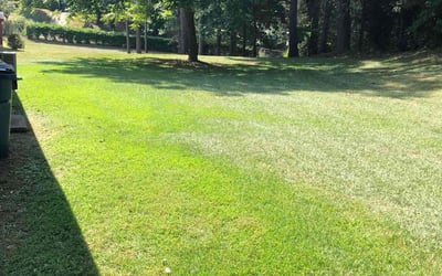 Photo of Kevin J.'s yard after getting lawn care in Temple, GA