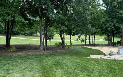 Photo of Chris S.'s yard after getting lawn care in Suffolk, VA