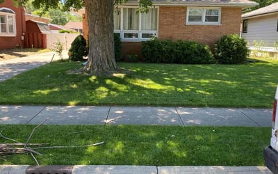 Photo of Timothy B.'s yard after getting lawn care in Hammond, IN