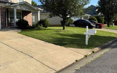 Photo of David J.'s yard after getting lawn care in Fort Worth, TX