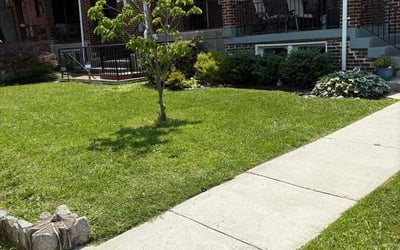 Photo of Keith D.'s yard after getting lawn care in Richmond, VA