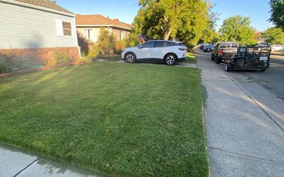 Photo of Thomes B.'s yard after getting lawn care in Lewis Center, OH