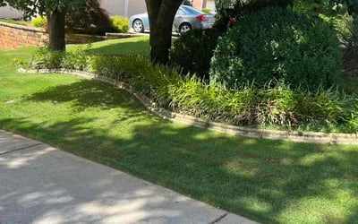 Photo of David P.'s yard after getting lawn care in Clarkston, GA