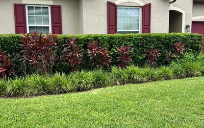 Photo of Tatiana P.'s yard after getting lawn care in Aubrey, TX