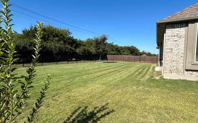 Photo of Charles C.'s yard after getting lawn care in Sunnyvale, TX