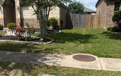 Photo of Jessica T.'s yard after getting lawn care in El Cerrito, CA