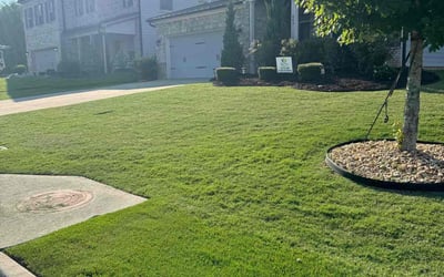 Photo of Kevin C.'s yard after getting lawn care in Clarkston, GA
