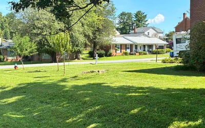 Photo of Angel M.'s yard after getting lawn care in Orlando, FL