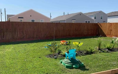 Photo of Tammy B.'s yard after getting lawn care in Mattapan, MA