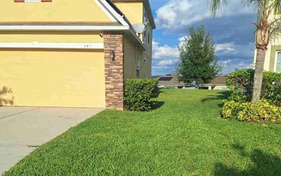 Photo of Brittany S.'s yard after getting lawn care in Litchfield Park, AZ