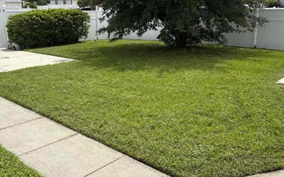 Photo of Elizabeth Y.'s yard after getting lawn care in Warren, MI