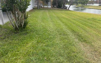Photo of Darrell D.'s yard after getting lawn care in Hanover Park, IL