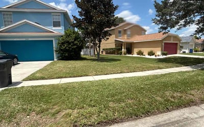 Photo of Ram M.'s yard after getting lawn care in Odessa, FL
